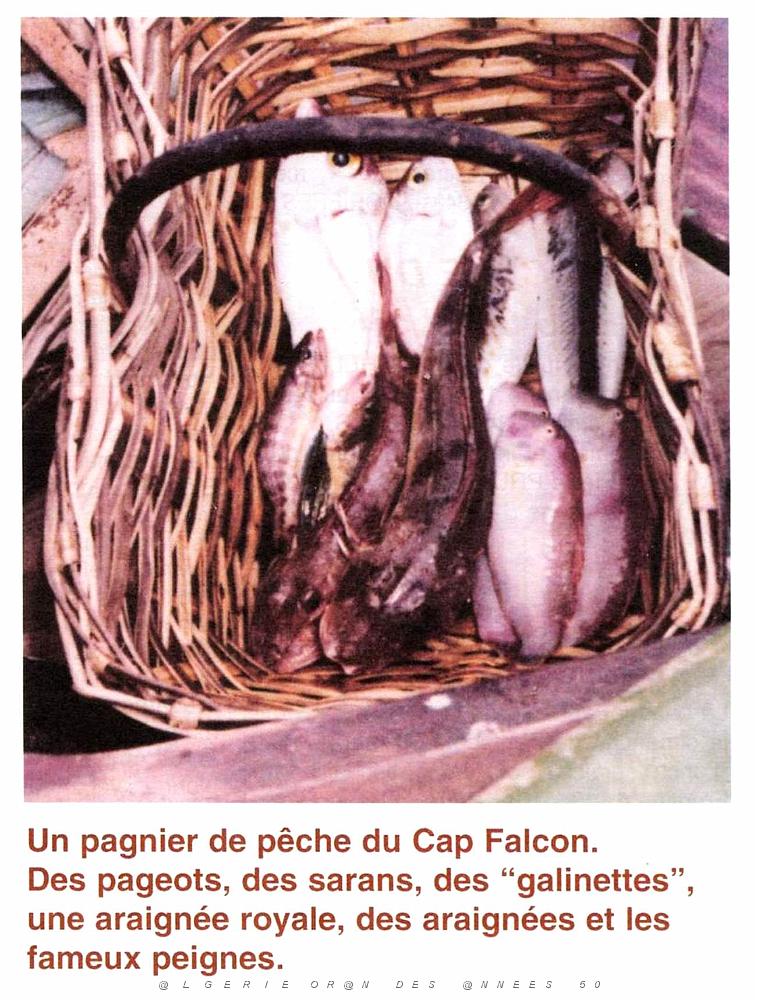 CO i- 045- Cap Falcon.JPG